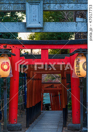 上野公園 花園稲荷神社の鳥居 上野公園 花園稲荷神社の鳥居 47017753