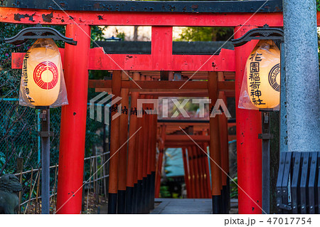 上野公園 花園稲荷神社の鳥居 47017754