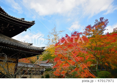 京都 南禅寺の紅葉 47017971