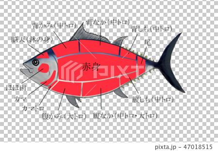Tuna part map 47018515