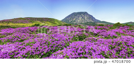 山 漢拏山 白鹿潭 47018700