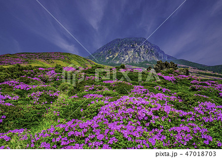 山 漢拏山 白鹿潭 47018703