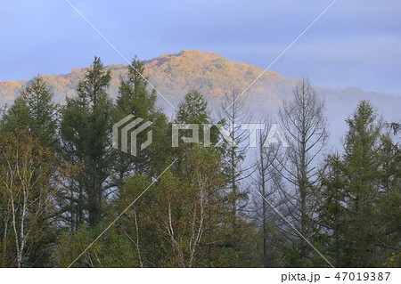 朝霧と朝日（北海道陸別町） 47019387