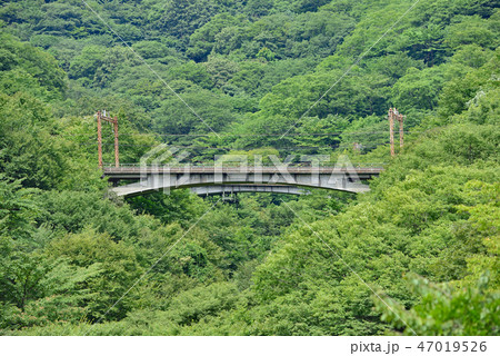 街風景 碓氷軽井沢 街風景 碓氷軽井沢 47019526