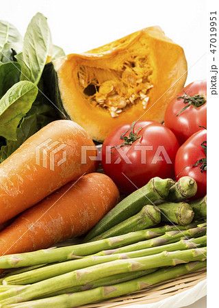 緑黄色野菜の集合 緑黄色野菜の集合 47019951