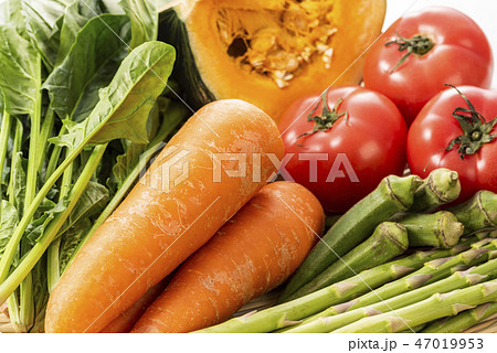 緑黄色野菜の集合 47019953
