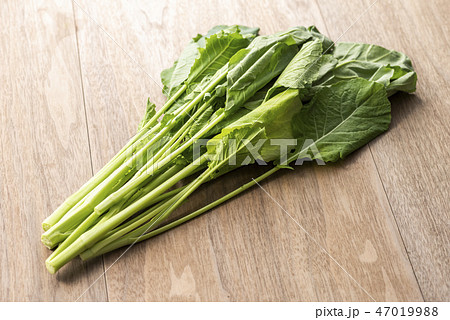 ケール ケール 47019988