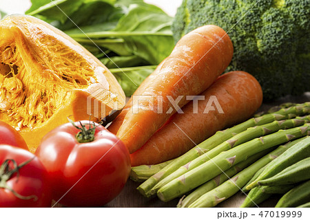 緑葉色野菜 47019999