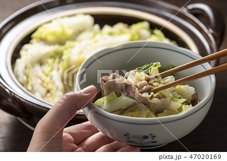 白菜と豚バラ肉の鍋 47020169