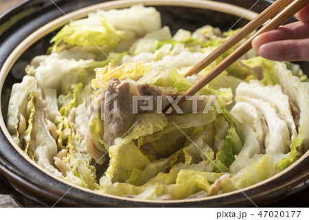 白菜と豚バラ肉の鍋 47020177