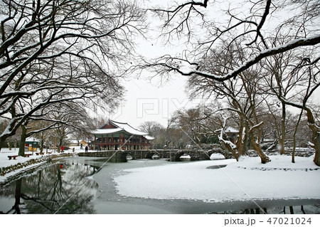 風景 雪景色 広寒楼 47021024