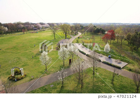 木曽三川公園 木曽三川公園 47021124