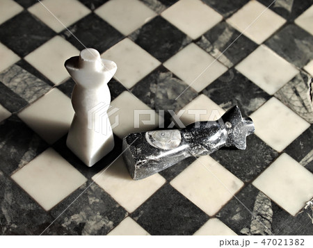 チェス盤 化石入りチェスボード チェス盤 化石入りチェスボード 47021382