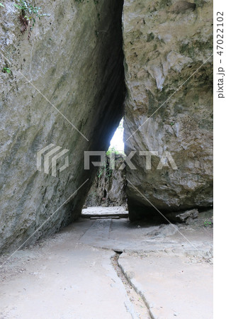 斎場御嶽 47022102