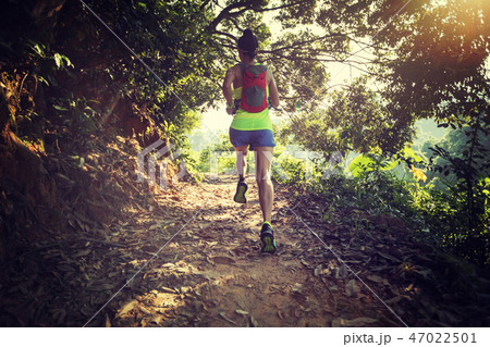 running on tropical forest trail during morning 47022501