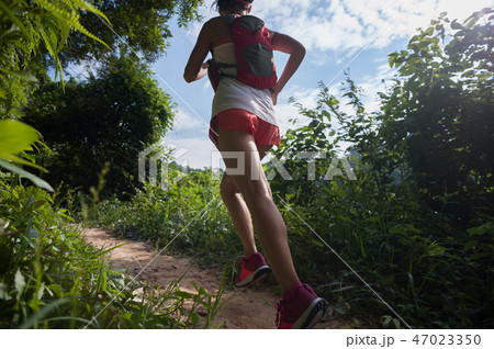 Young woman trail runner running on   forest trail 47023350