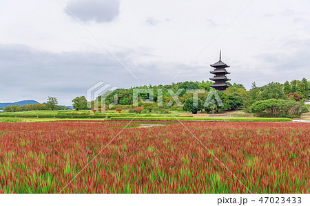 吉備路の風景 備中国分寺 47023433