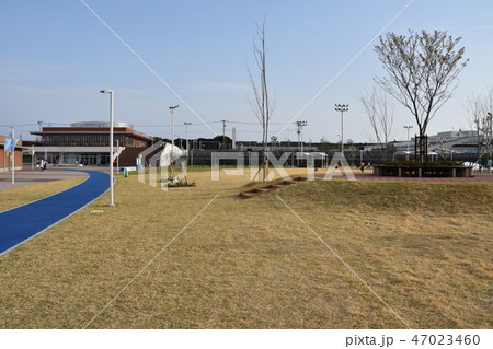 茅ヶ崎 柳島スポーツ公園 茅ヶ崎 柳島スポーツ公園 47023460