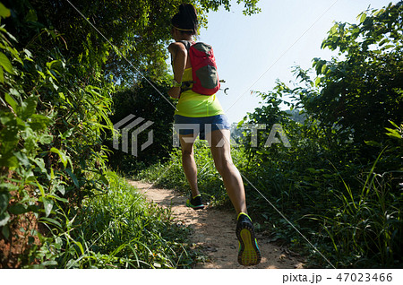 woman trail runner running in sunny forest 47023466