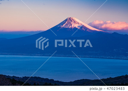 【静岡県】伊豆達磨山高原から望む富士山・夜明け 【静岡県】伊豆達磨山高原から望む富士山・夜明け 47023483
