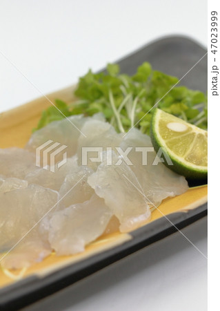 養殖トラフグの自宅盛付「刺し身」 47023999