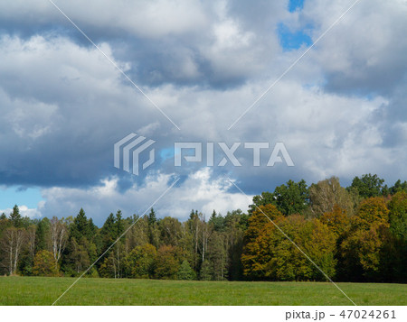 Forest meadow with cloudy sky 47024261