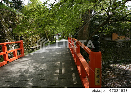 大原三千院の境内 47024633