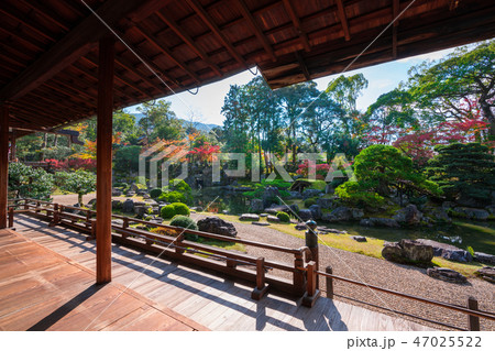 京都 醍醐寺 三宝院の庭園 紅葉 京都 醍醐寺 三宝院の庭園 紅葉 47025522