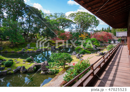 京都 醍醐寺 三宝院の庭園 紅葉 京都 醍醐寺 三宝院の庭園 紅葉 47025523