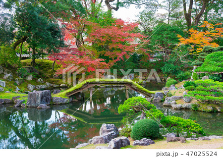 京都 醍醐寺 三宝院の庭園 紅葉 京都 醍醐寺 三宝院の庭園 紅葉 47025524