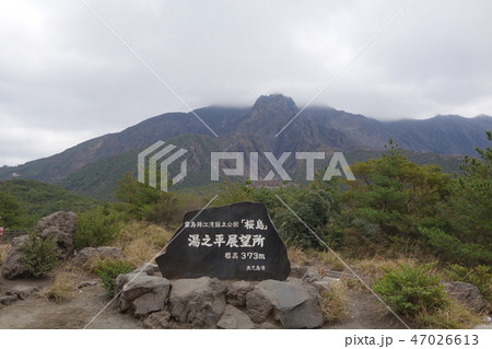 桜島 湯之平展望所 桜島 湯之平展望所 47026613