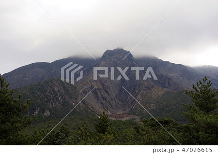 桜島北岳 湯之平展望所 桜島北岳 湯之平展望所 47026615