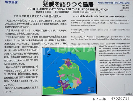 桜島 黒神埋没鳥居案内板 桜島 黒神埋没鳥居案内板 47026712