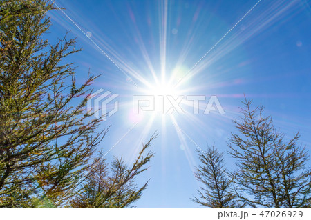 太陽と青空のイメージ 太陽と青空のイメージ 47026929