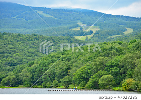 街風景 嬬恋村 バラギ湖 街風景 嬬恋村 バラギ湖 47027235
