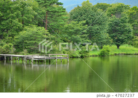 街風景　嬬恋村　バラギ湖 47027237