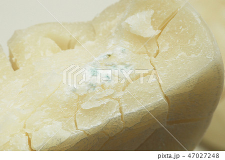 カビが生えた鏡餅 カビが生えた鏡餅 47027248