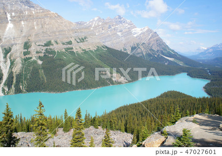 ペイトーレイク 47027601