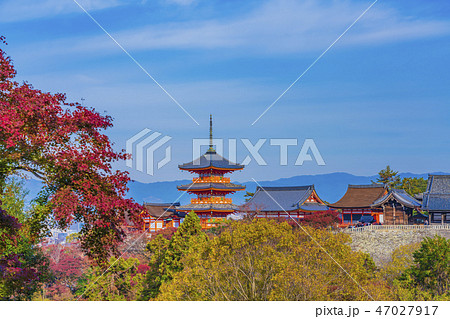 京都 秋の清水寺 三重塔 京都 秋の清水寺 三重塔 47027917