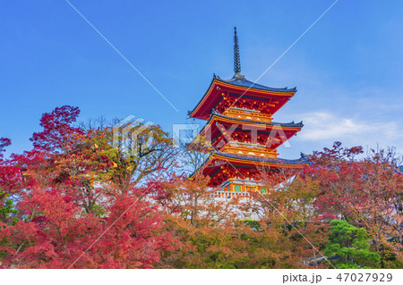 京都 秋の清水寺 三重塔 京都 秋の清水寺 三重塔 47027929