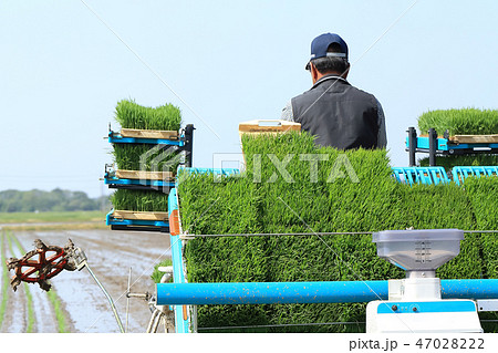 田植え機で田植えをする男性 イメージ 47028222