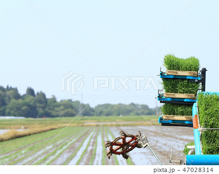 田植え イメージ 田植え イメージ 47028314