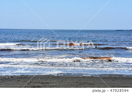 茅ヶ崎海岸 赤潮とサーファー 茅ヶ崎海岸 赤潮とサーファー 47028594