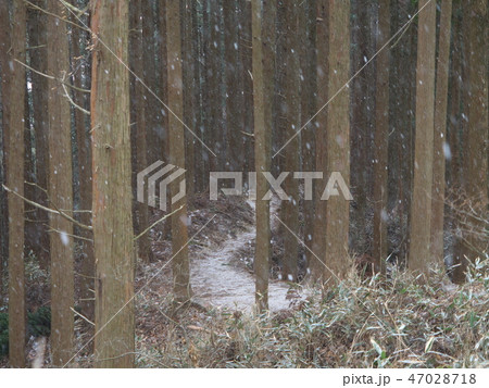 金剛山（六地蔵） 47028718