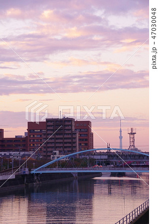 スカイツリーを望む夕景 47030048