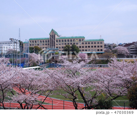 横浜市青葉区 新石川 國學院大學 たまプラーザキャンパス 横浜市青葉区 新石川 國學院大學 たまプラーザキャンパス 47030369