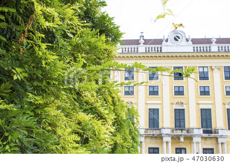 Schonbrunn Palace in Vienna Schonbrunn Palace in Vienna 47030630