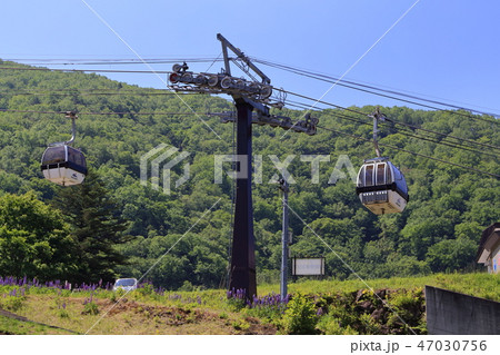 日光白根山ロープウェイ山麓駅付近 47030756