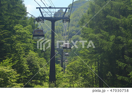 日光白根山ロープウェイ 47030758