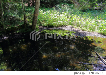 日光白根山の血の池地獄 47030763